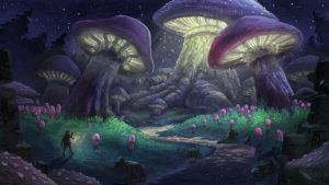قارچ های جادویی