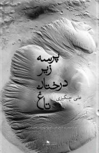 پرسه زیر درختان تاغ